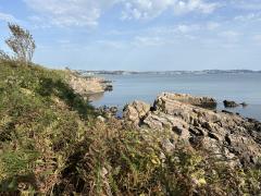 Looking across the English Riviera!